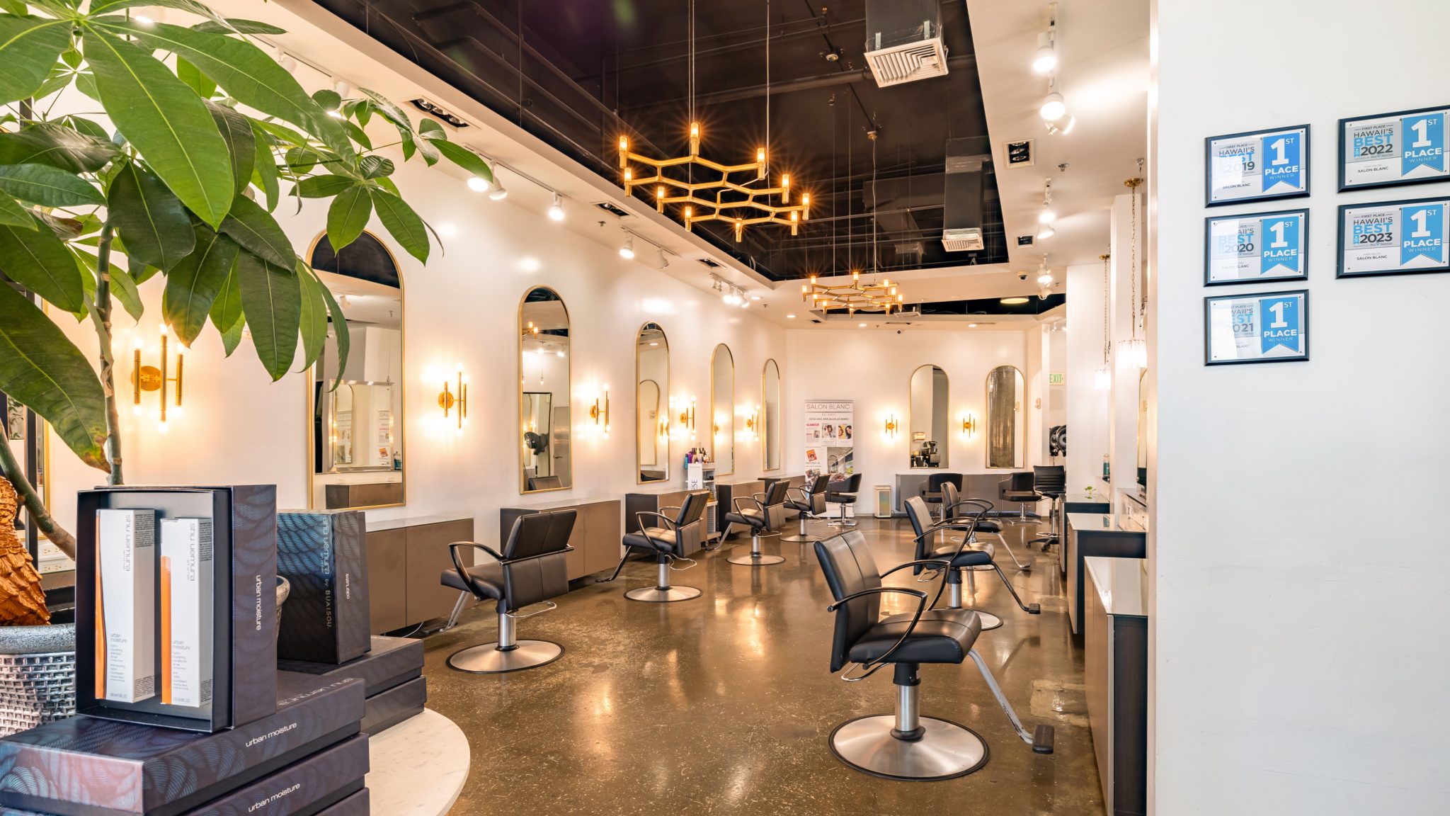 Salon Blanc